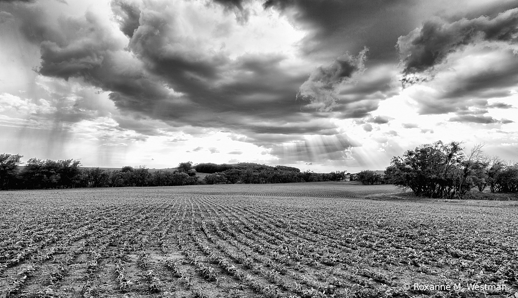 North Dakota stormy landscape