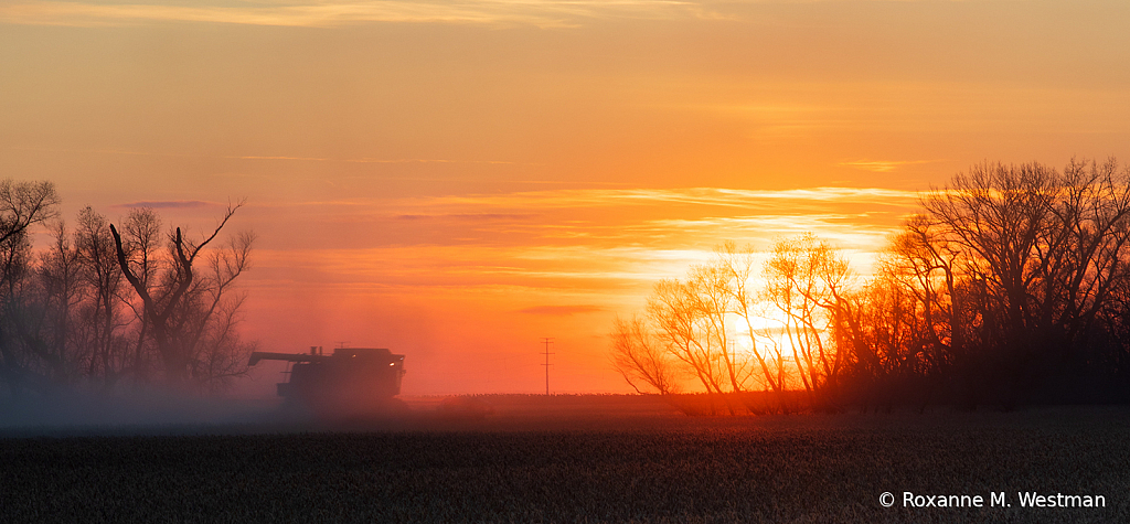 Harvest in the sunset