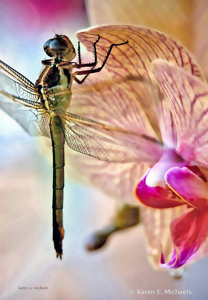 dragon and orchid - ID: 15815675 © Karen E. Michaels