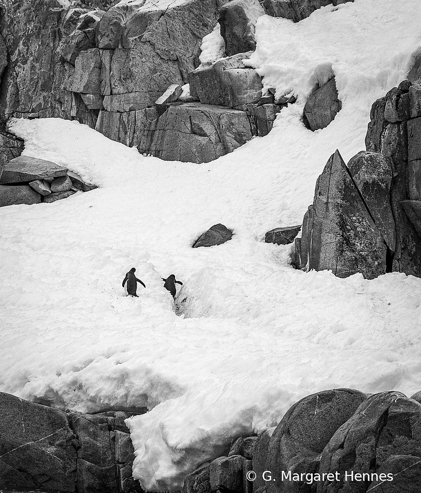 Uphill Climb