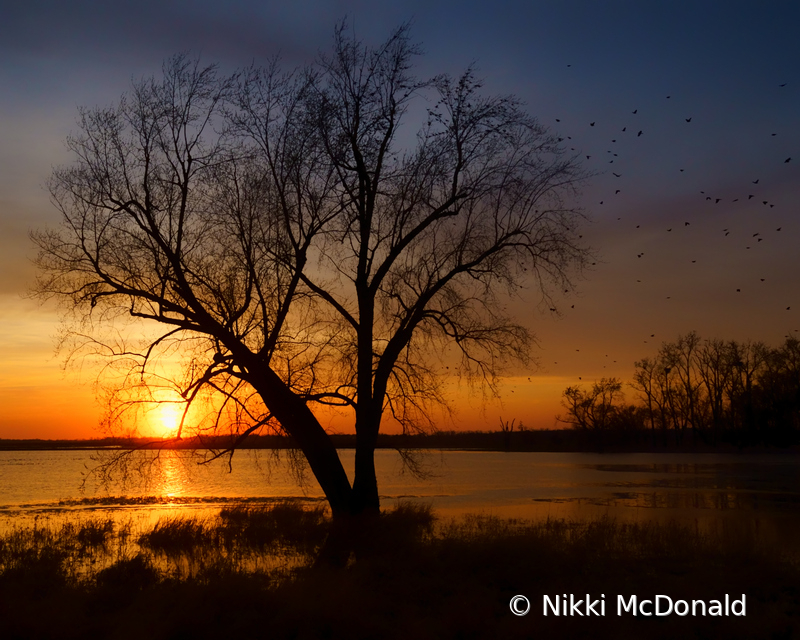 Sunset at Loess Bluffs #2