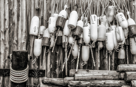 Floats on the Fence