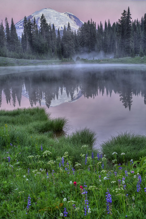 Mt. Rainier