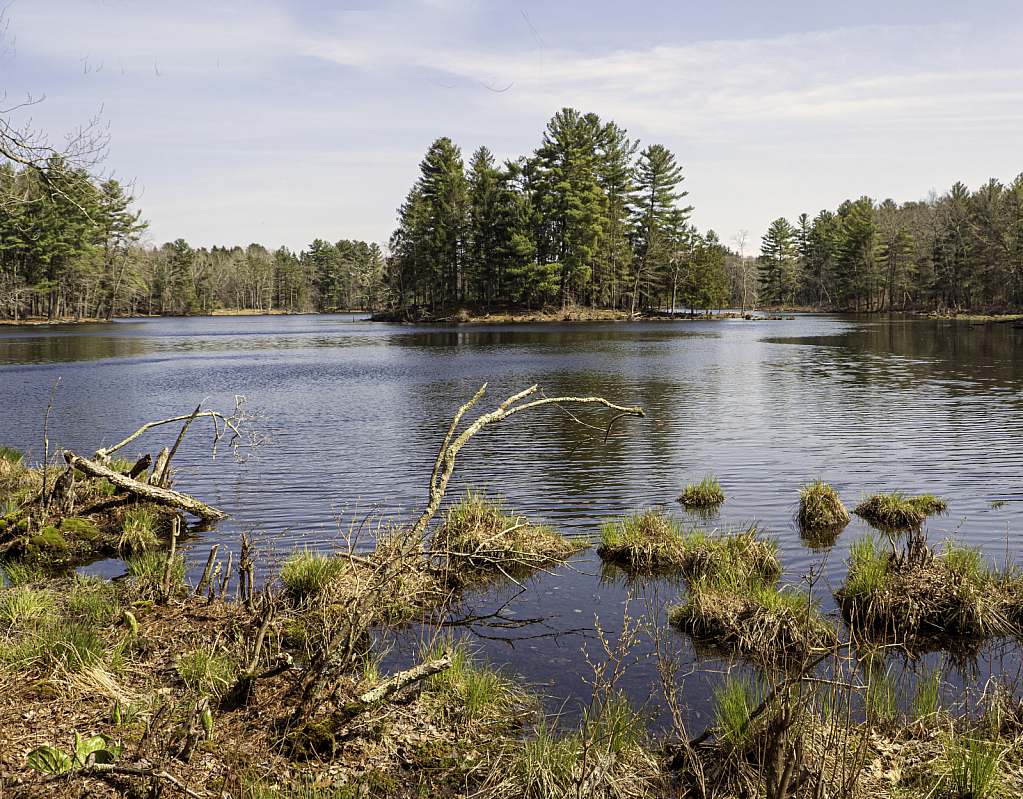 Lake View