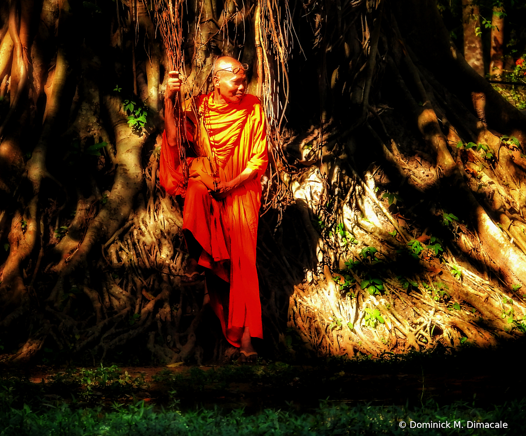 ~ ~ MONK BY THE BANYAN TREE ~ ~ 