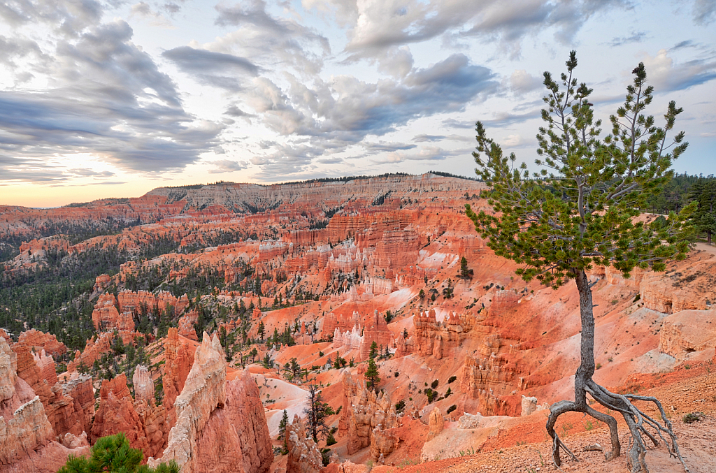 Bryce Canyon