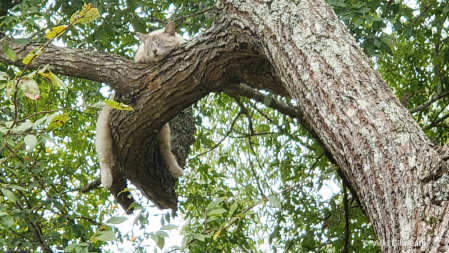 Just Hanging Around