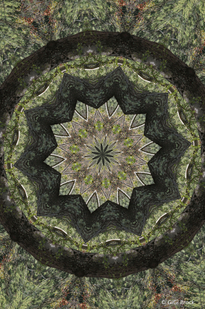 Spin On Nature