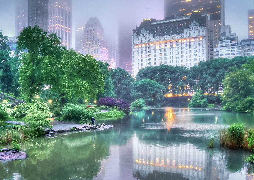 Overcast at the Pond, Central Park