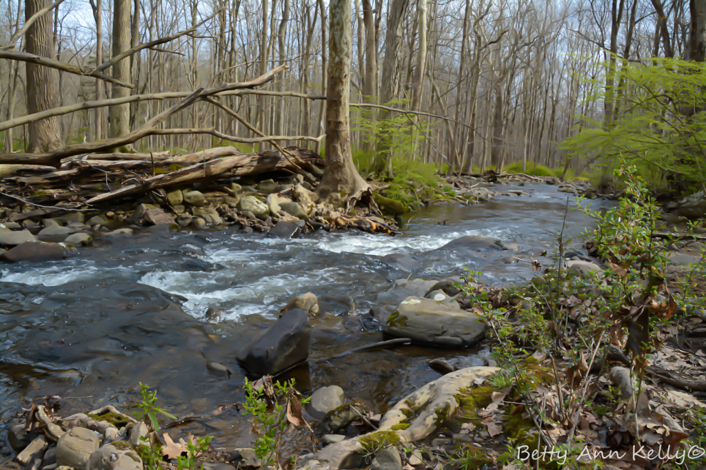 Babbling Brook