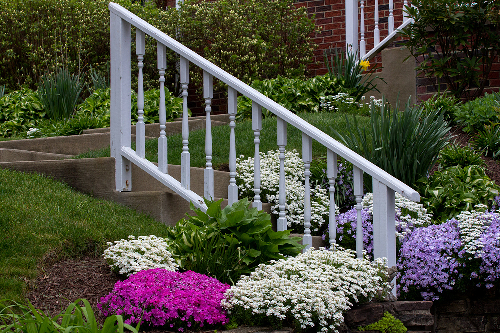 Mid-spring Blooms