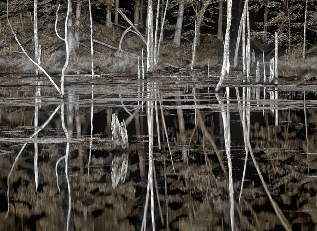 Ghosts of Little Seneca Creek - Clarksburg MD - ID: 15817386 © Martin L. Heavner