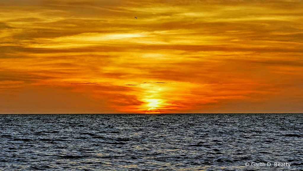Florida Gulf Sunset 