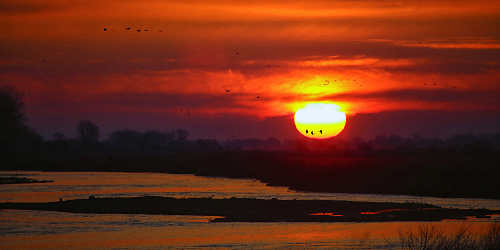 Sandhill Sunset