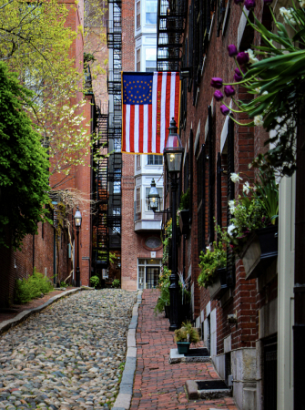 Spring on Acorn Street