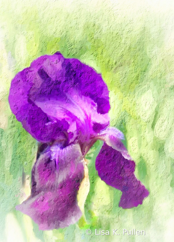 Iris Joy