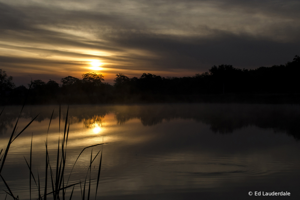 Light Mist