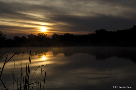 Light Mist