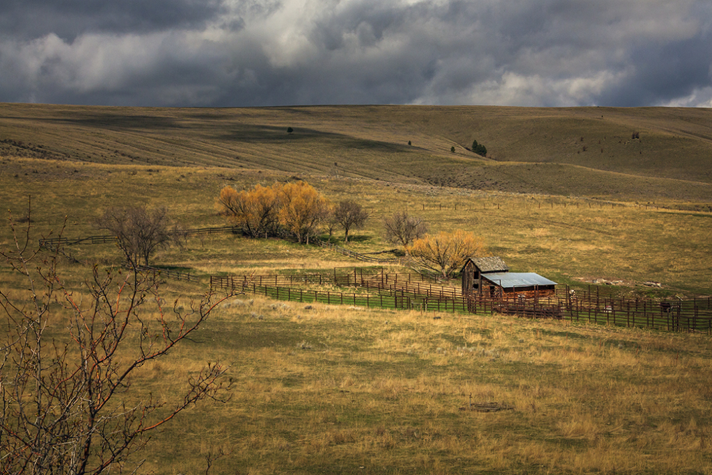 Rural Life