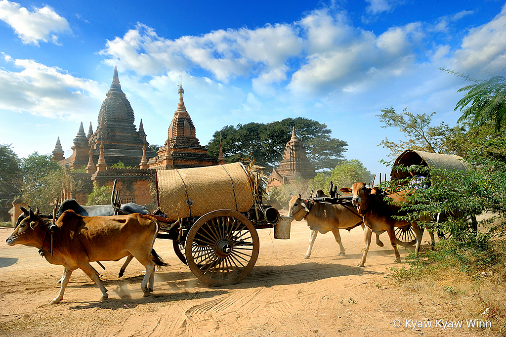 Image of Myanmar - ID: 15818076 © Kyaw Kyaw Winn