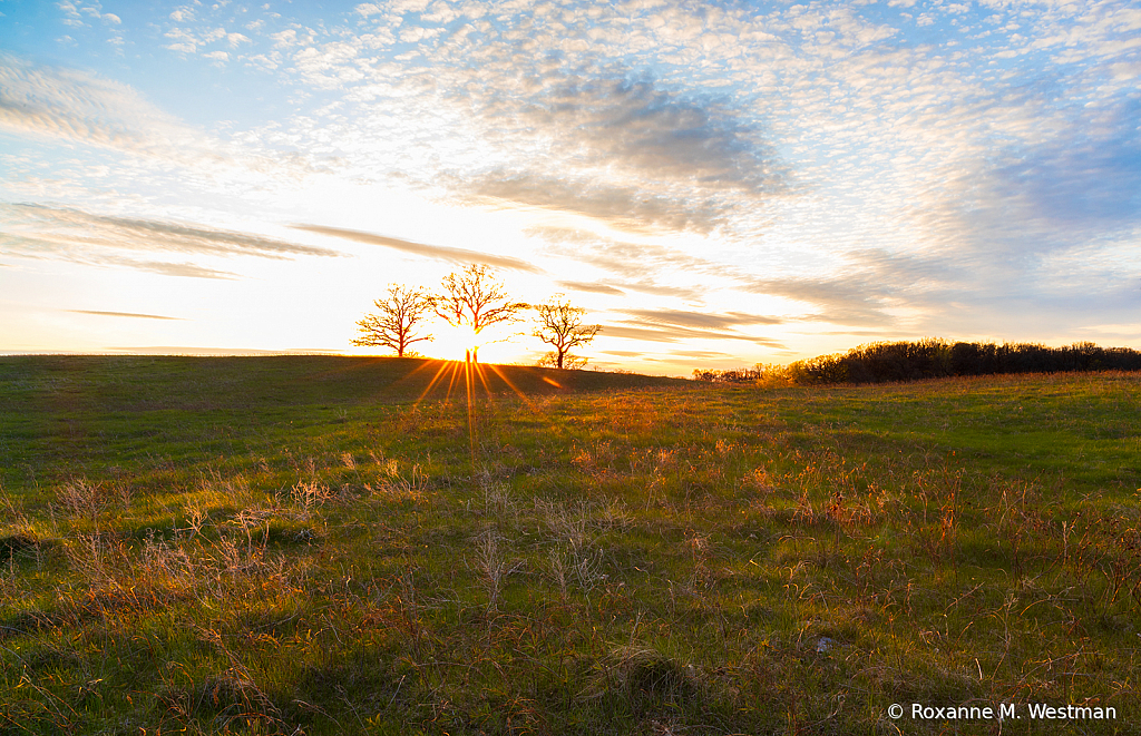 North Dakota sunset in the grasslands - ID: 15817963 © Roxanne M. Westman