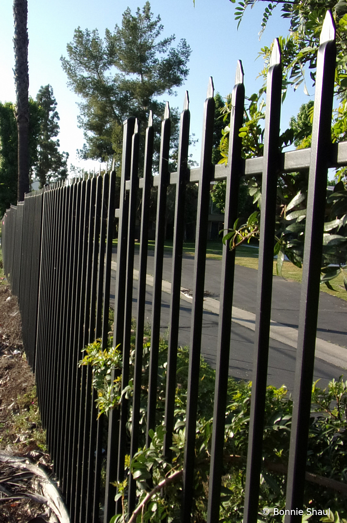 Iron Fencing