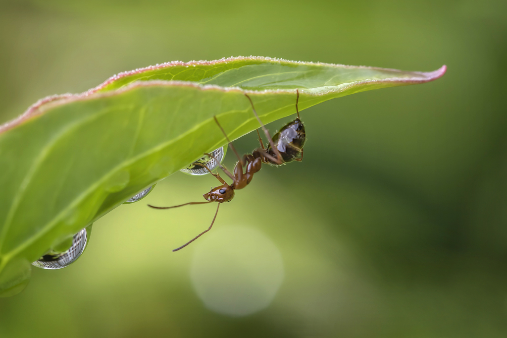 Hanging On  