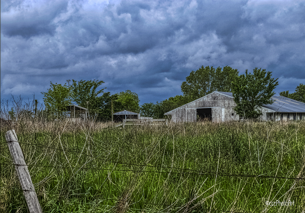 Fenced in Fantastic - ID: 15818806 © Candice C. Calhoun