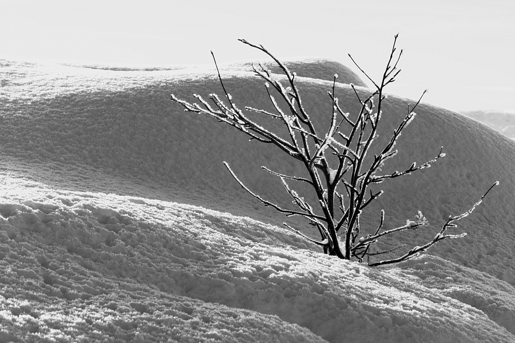 Iceland in BnW