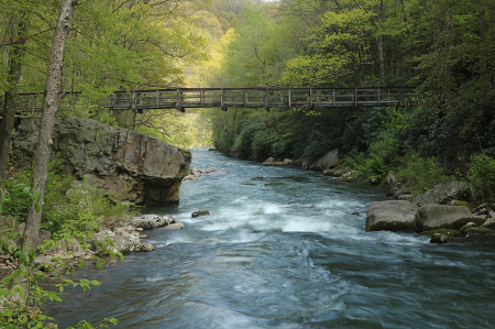 Spring at the Savage River