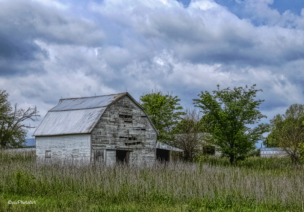 Weathered Wonder - ID: 15818868 © Candice C. Calhoun