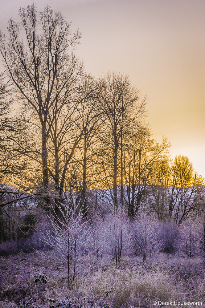 Winter Sunrise