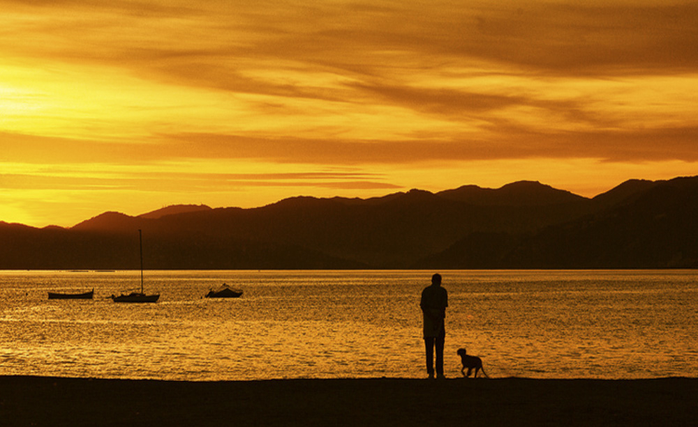 A Man and his Dog