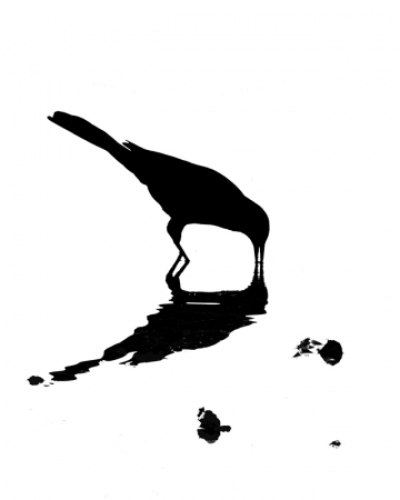 Fishing Crow Silhouette