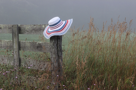 Hat on the Fence