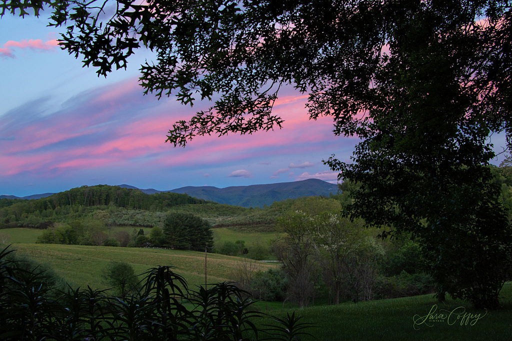 Blue Ridge View