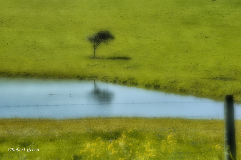 Green Pastures...Still Waters