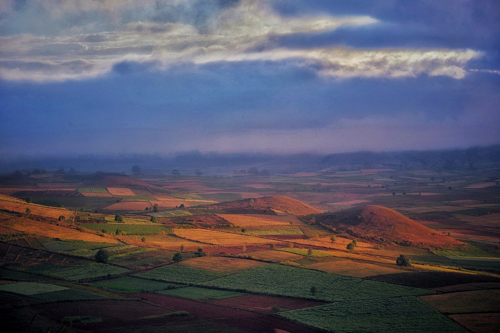 Colorful field