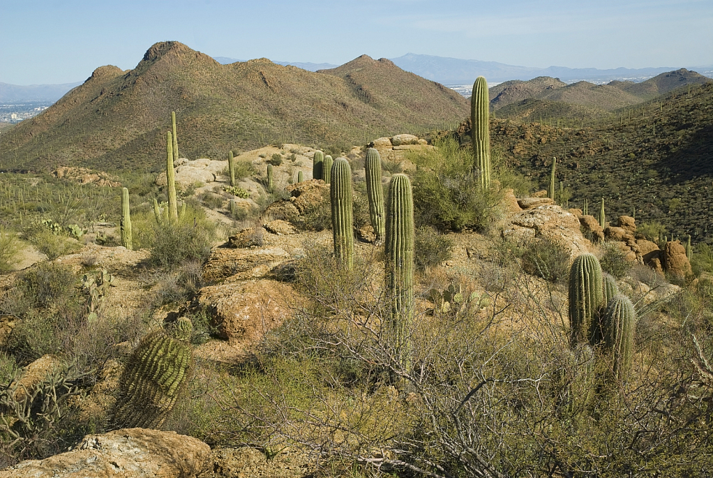 Gates Pass, Tucson, AZ - ID: 15820010 © William S. Briggs