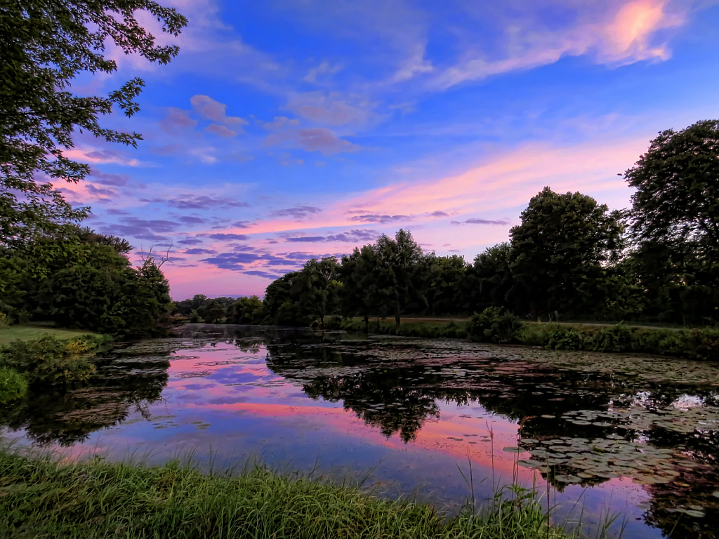 Sunrise Over The Greenbelt Pond