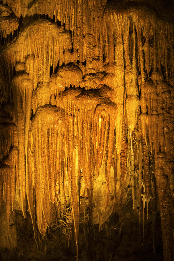 Stalactites at Kartchner Caverns