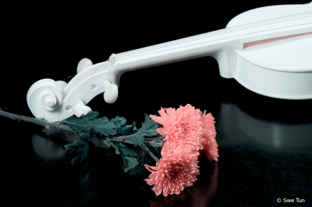 Flower and instrument