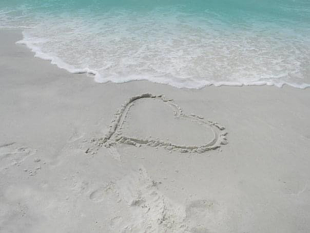 Heart & Sea