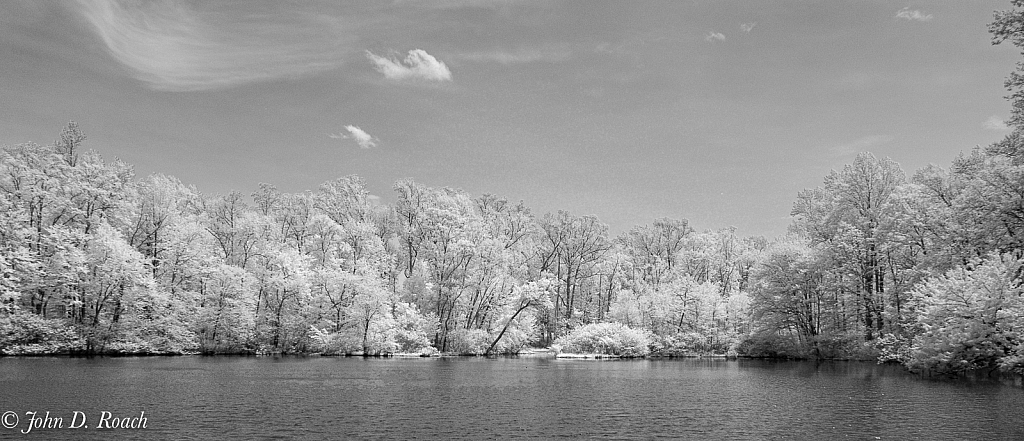 The Lagoon