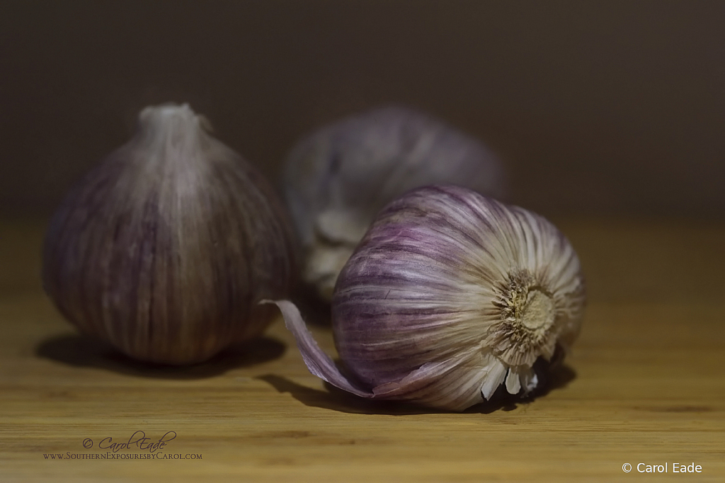 Purple Garlic Trio - ID: 15820513 © Carol Eade