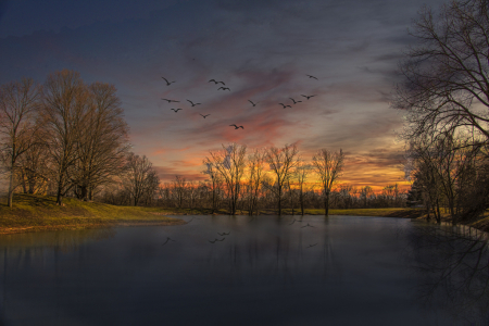 Tranquil Evening