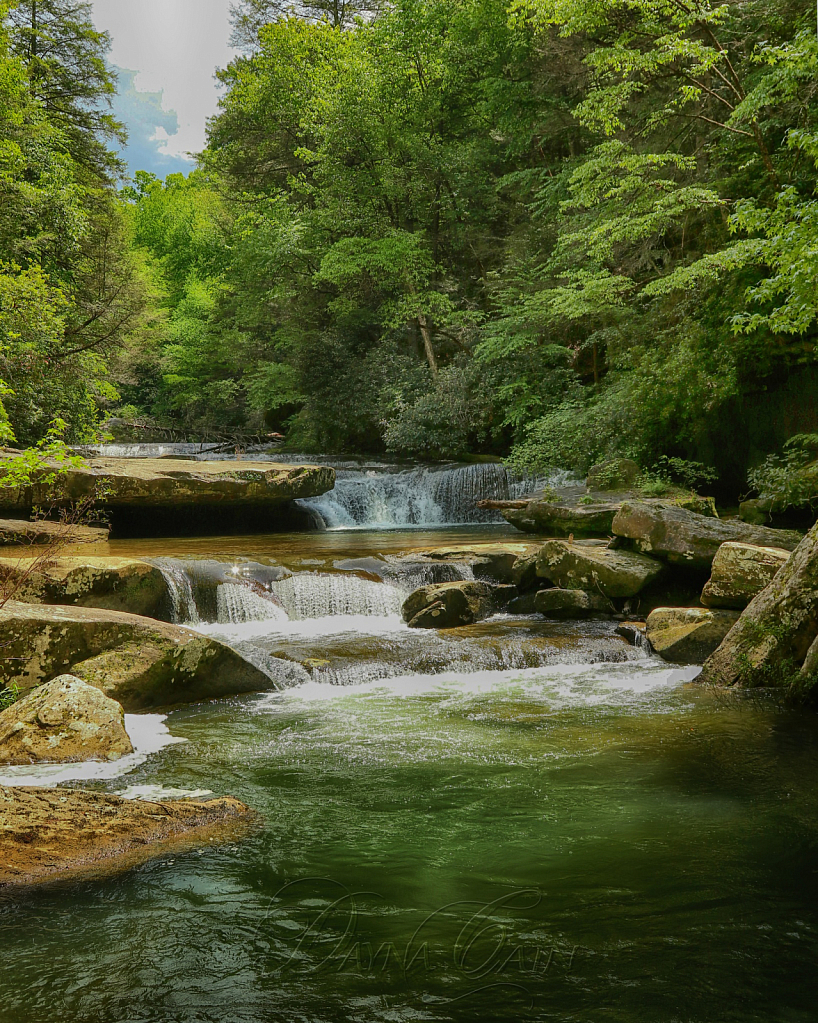 Bark Camp Creek