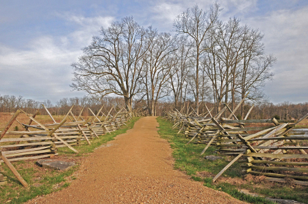 Gettysburg Road Symmetry I