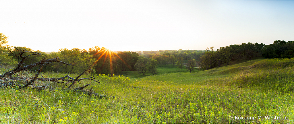 Hazing overlook of Sheyenne River valley - ID: 15821029 © Roxanne M. Westman