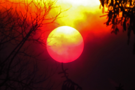 Forest Fire Sunset